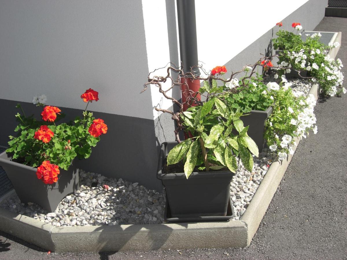 die Gartenwohnung - Tanja Tipotsch Schwendau Exterior foto